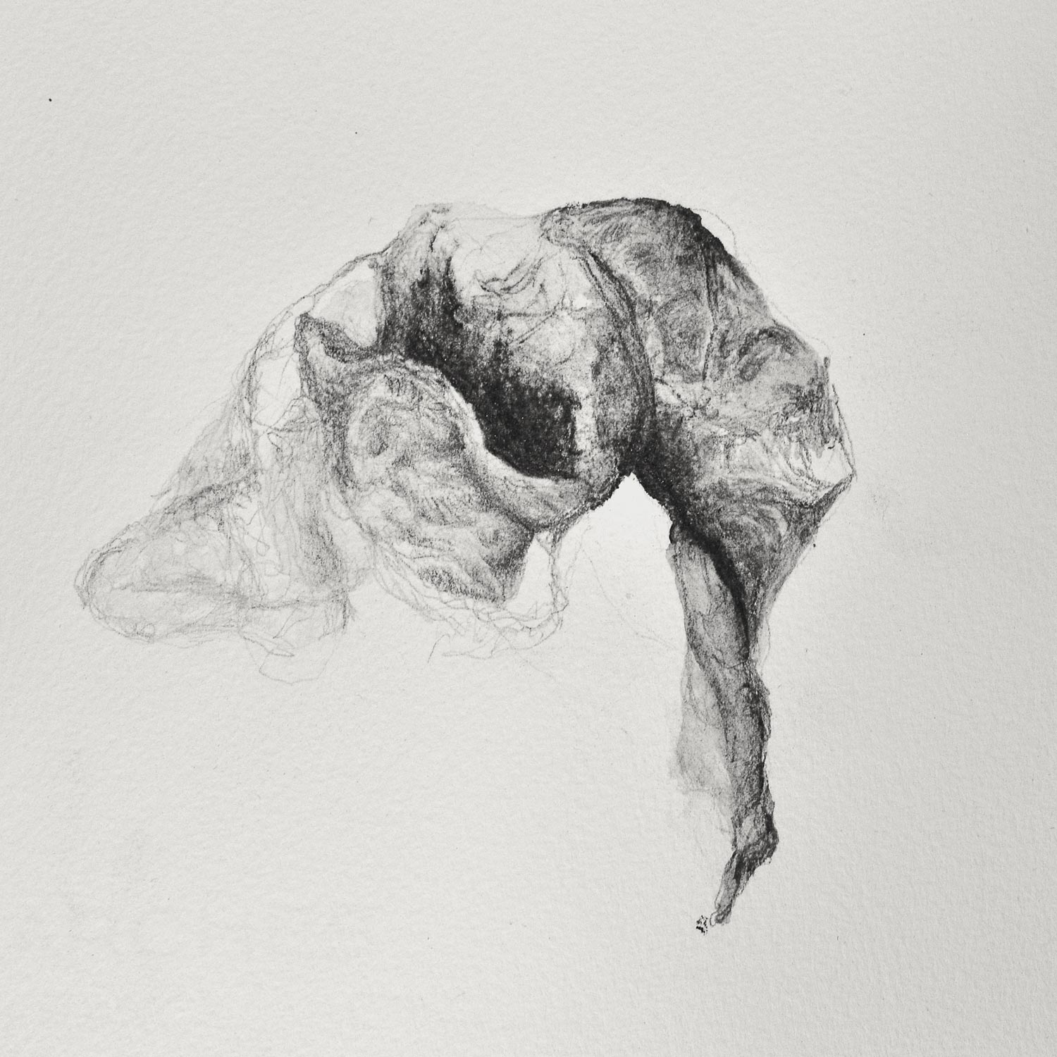Pascale Simonet | Dessins | Corps vidés (cover) Pascale Simonet | Dessins | Corps vidés (cover)