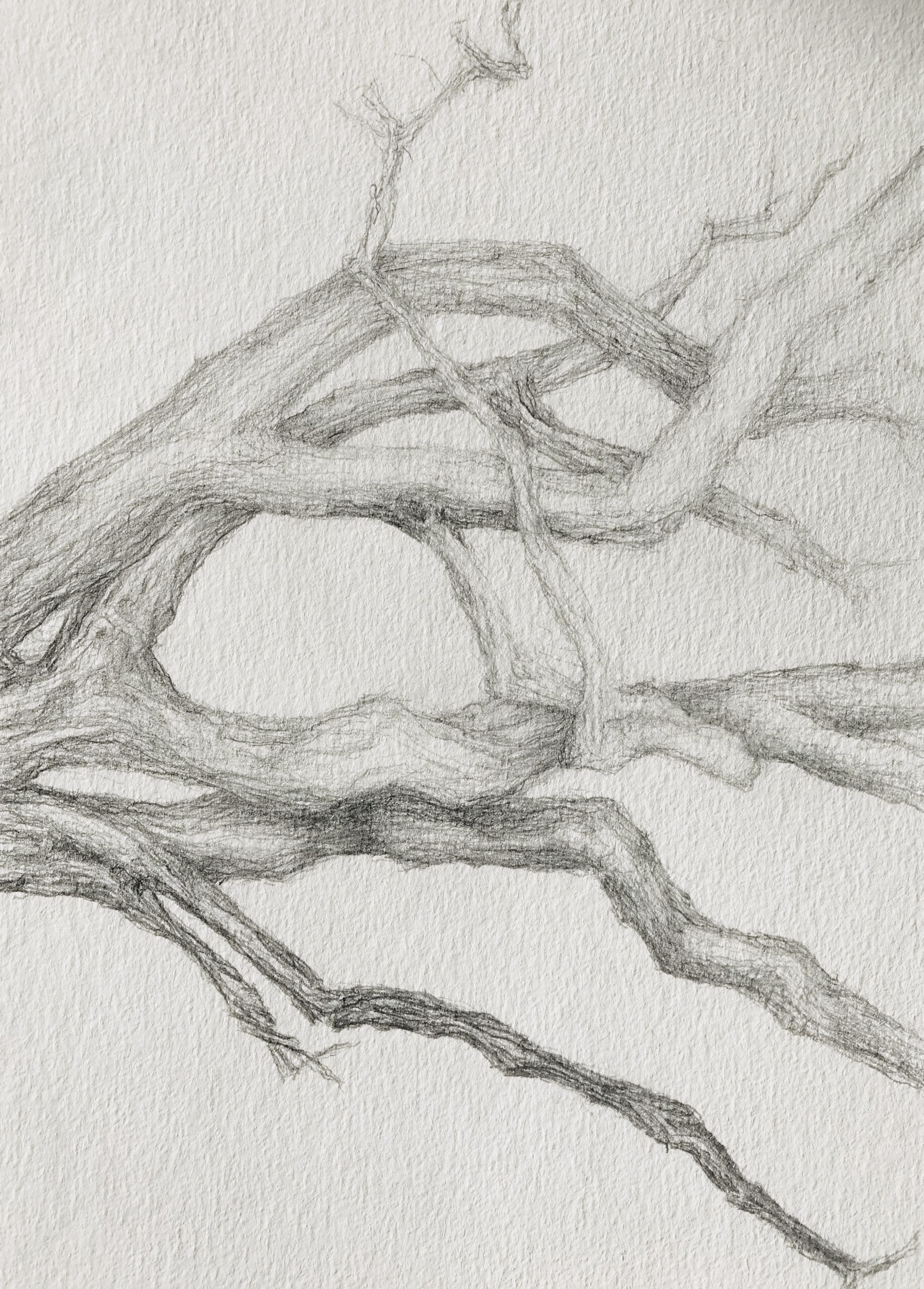 Pascale Simonet | Dessins | Corps vidés (cover)