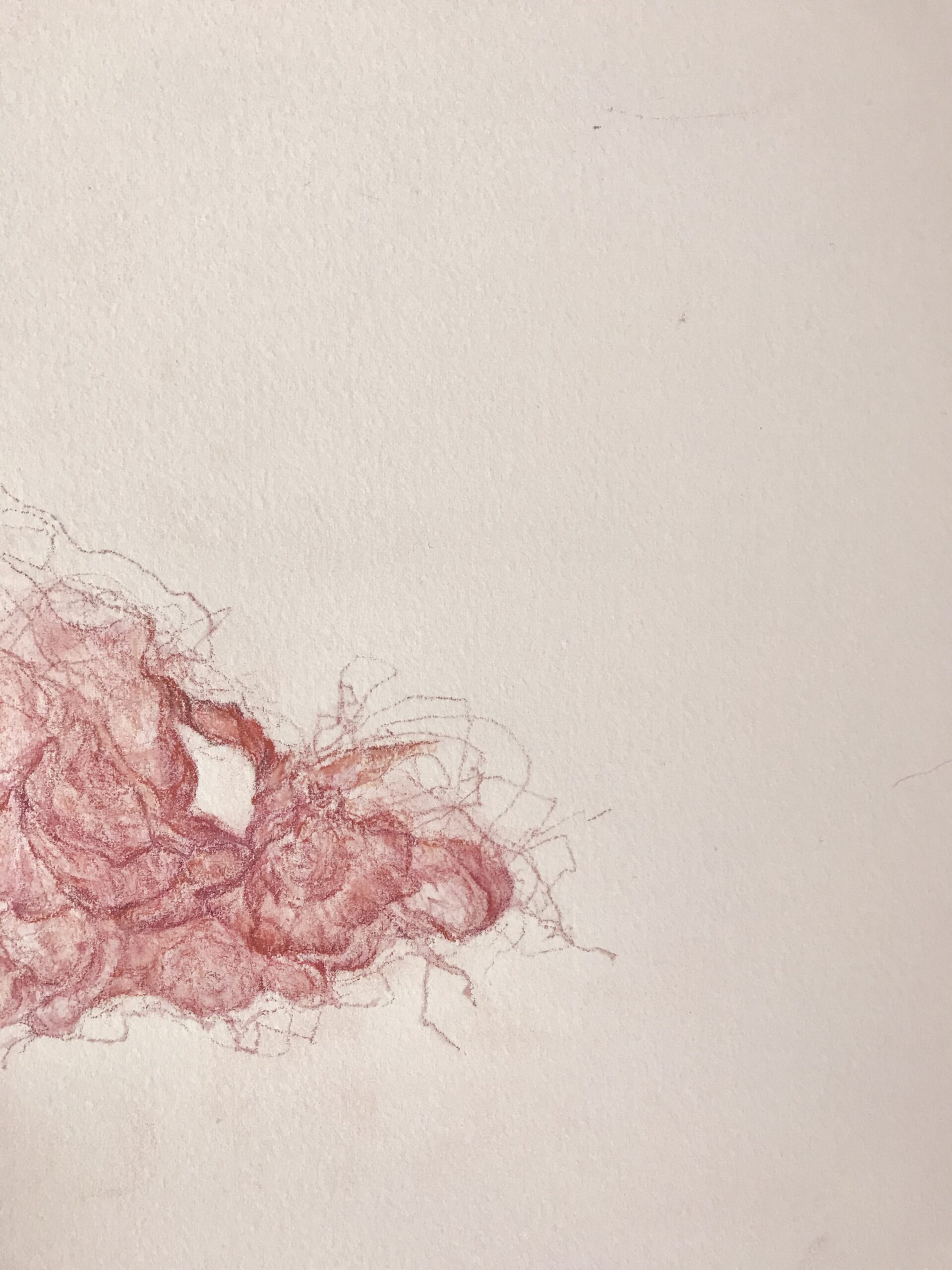 Pascale Simonet | Dessins | Œil pour œil (cover)